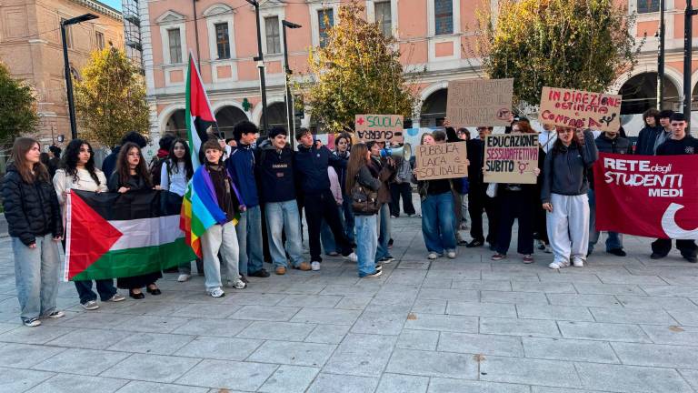 Cesena, la protesta della Rete degli studenti medi