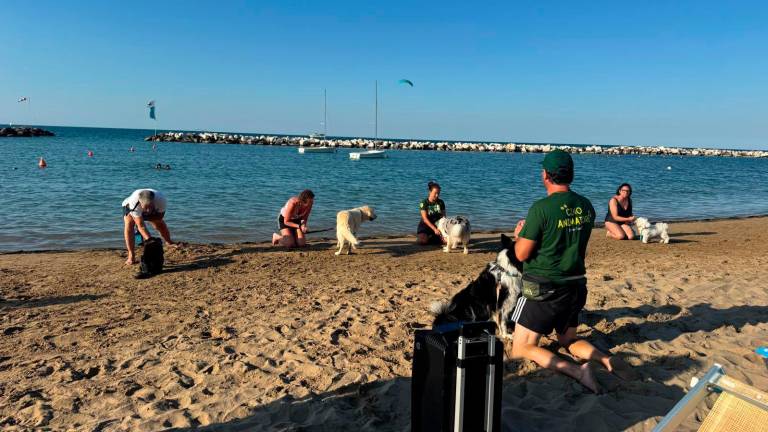 Cattolica, Fra gym dog, giochi e yoga in spiaggia c’è il cino-animatore