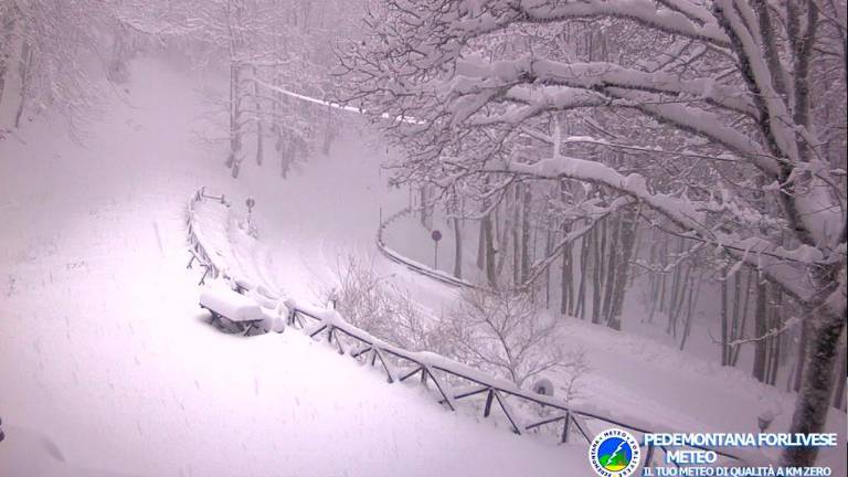 Chalet Burraia Campigna