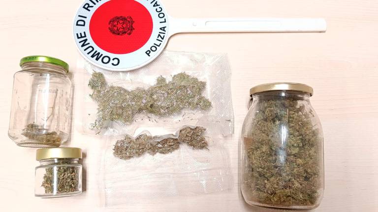 Rimini, vendeva marijuana nel camper: arrestato