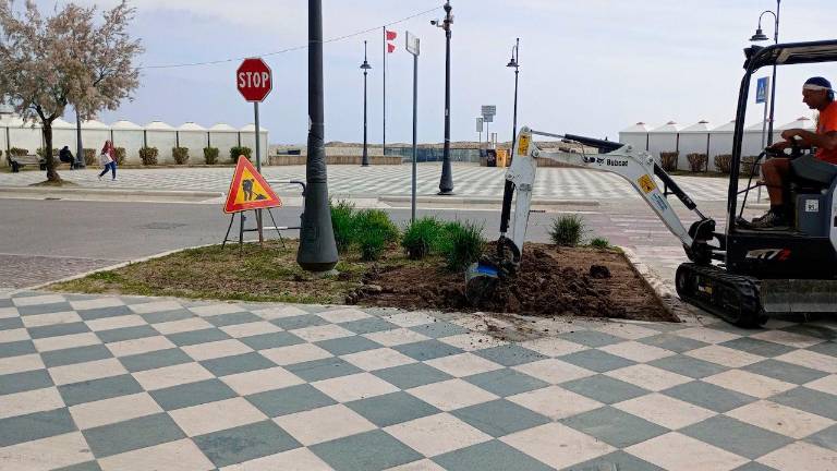 Cesenatico, lavori al verde pubblico per 600mila euro