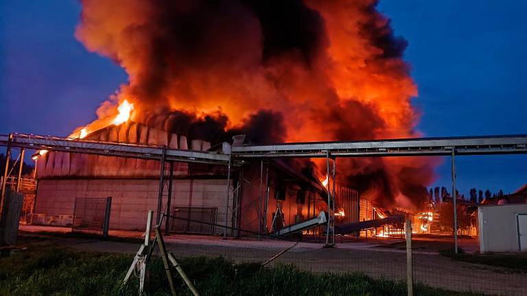 Meldola, incendio all’allevamento di galline ovaiole, animali in salvo VIDEO
