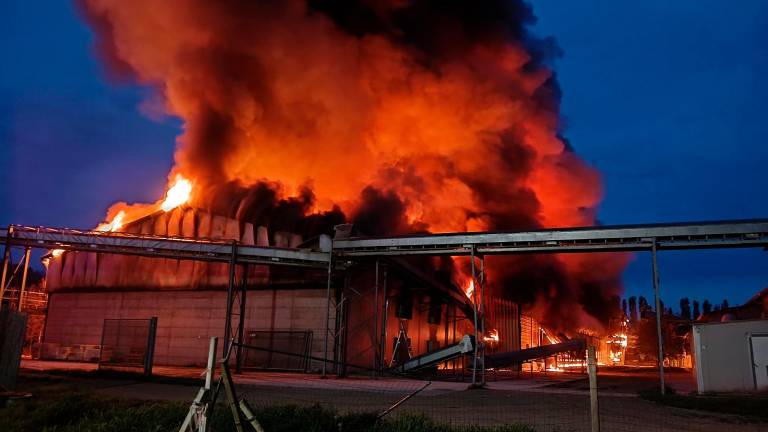 Meldola, incendio all’allevamento di galline ovaiole, animali in salvo VIDEO
