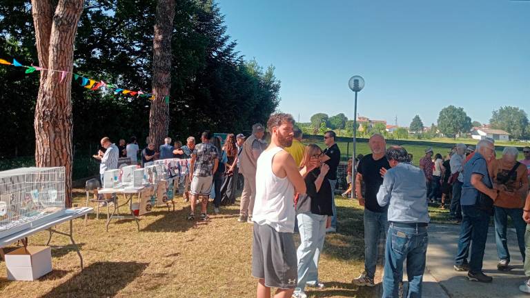 Cesena, l’ex scuola di Ruffio si trasforma in “Ricreatorio” e diventa la base di quattro associazioni