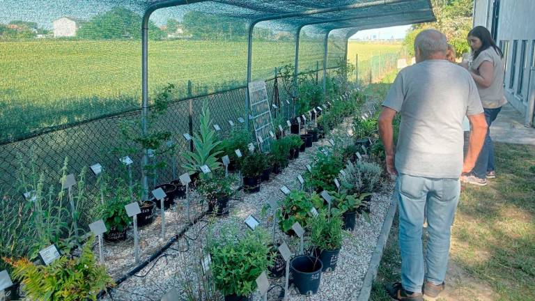 Cesena, l’ex scuola di Ruffio si trasforma in “Ricreatorio” e diventa la base di quattro associazioni