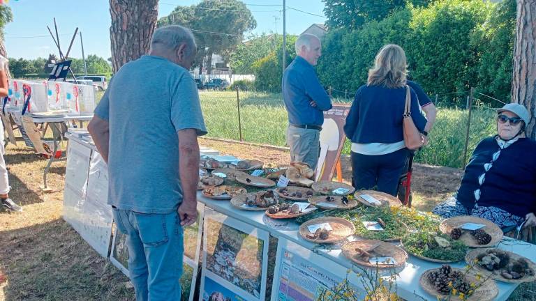 Cesena, l’ex scuola di Ruffio si trasforma in “Ricreatorio” e diventa la base di quattro associazioni