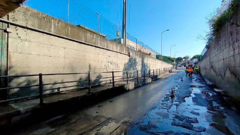 Cervia, travolta da auto pirata, morì 6 mesi dopo. Il medico legale: «Incidente decisivo»