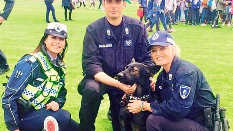 Ziko il cane poliziotto di Riccione trova droga e pusher: in 17 finiti in manette