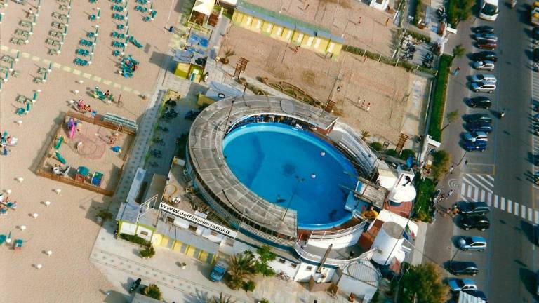 Il Delfinario di Rimini