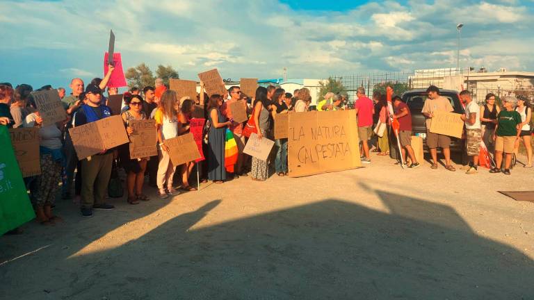 Rimini. In 130 in spiaggia a difesa del fratino