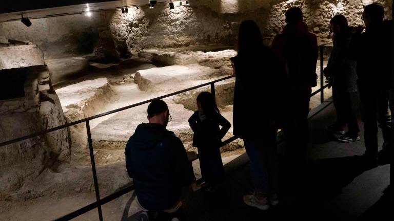 Musei di Rimini, aumento di visitatori nel 2025