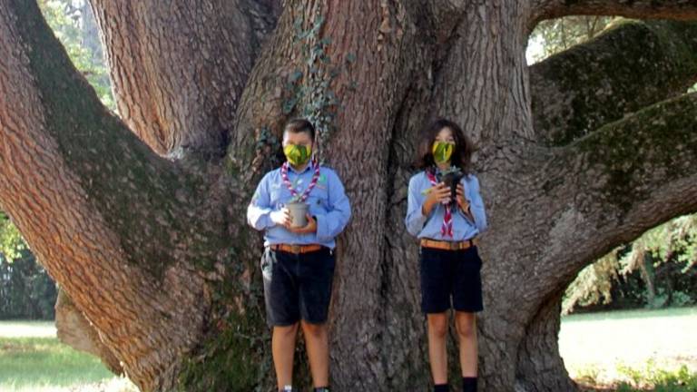 A Bertinoro c'è un piccolo albero in regalo per ogni studente