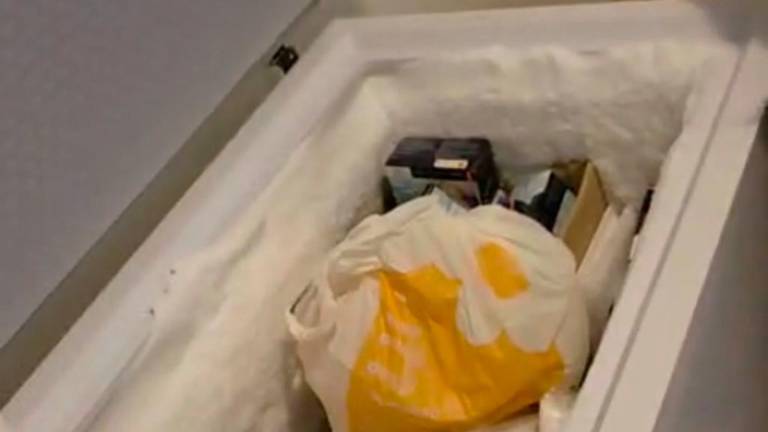 Ravenna, sequestro di prodotti ittici in un ristorante di cucina giapponese