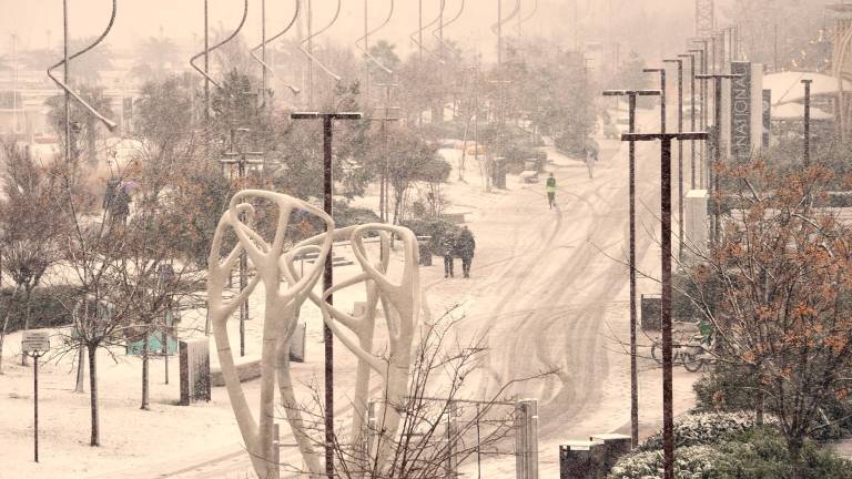 Rimini sotto la neve, la spiaggia è un parco giochi FOTOGALLERY Migliorini