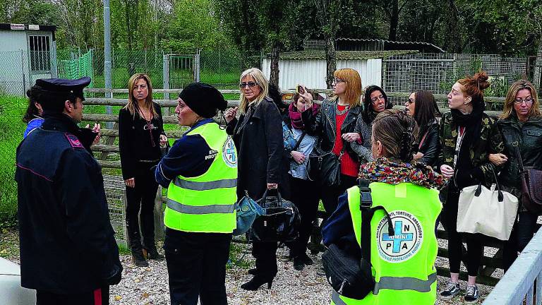 Canile di Coriano, vince il Comune