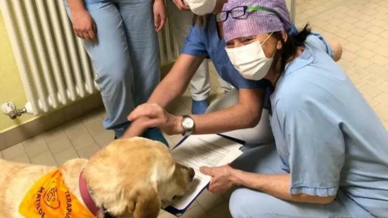Forlì, cani da terapia in appoggio ai pazienti fragili in Oculistica