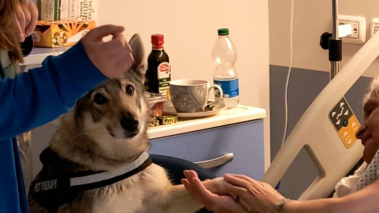 Rimini, “dog-tori” in corsia: partito il progetto di pet therapy all’Hospice