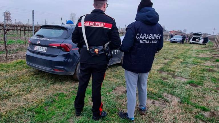 Forlì, sicurezza del lavoro, sei aziende agricole irregolari, sanzioni e ammende