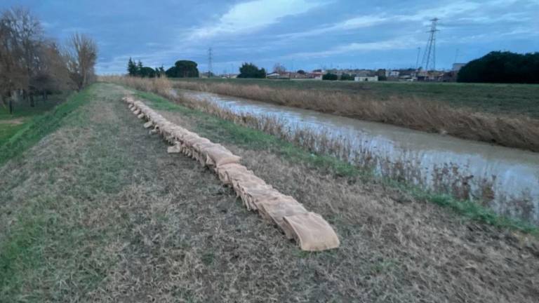 Cotignola, i sacchi di sabbia sull’argine del Senio fanno discutere. Una toppa tardiva? Il sindaco spiega