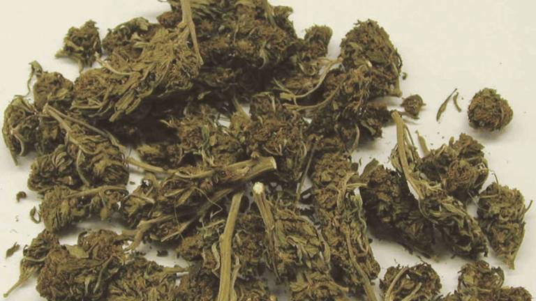 Rimini, 3 chili di marijuana nell'auto: arrestato 36enne