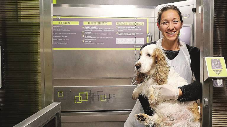 Lavaggio self-service per cani: «Una spa aperta notte e giorno»