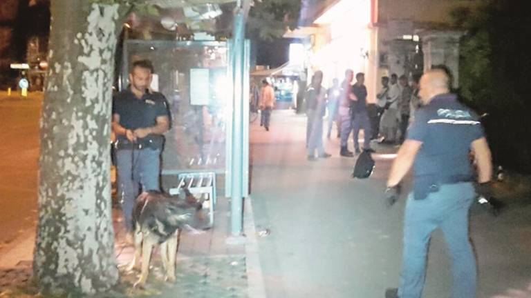 Tar, il cane poliziotto incubo degli spacciatori del sabato sera