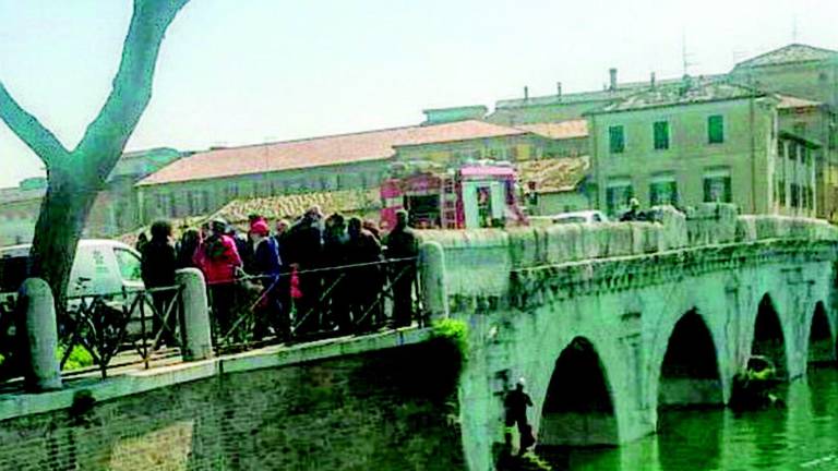 Gatto sfugge ai soccorsi con un tuffo in acqua alla Tania Cagnotto