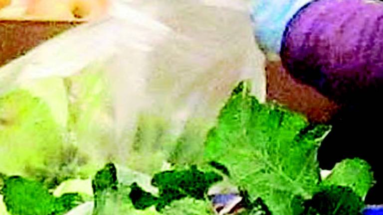 Insetti, schegge e mozziconi nell'insalata: 24 operai indagati