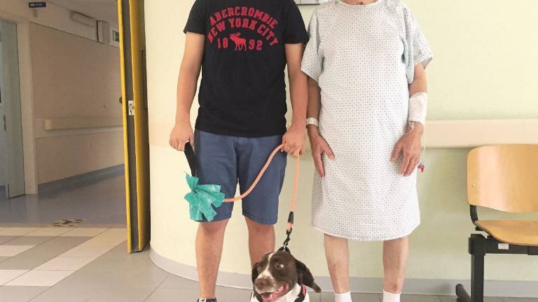 Rex è il primo cane che entra in ospedale