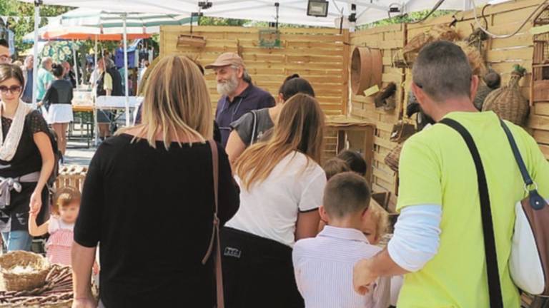 Gli animali sovrani della Fiera di San Michele