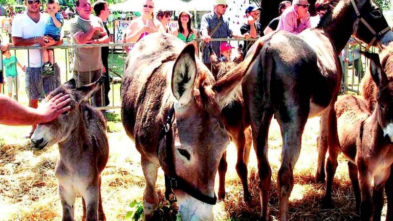 Fiera agricola fra tradizione e innovazione strizzando l'occhio alla gastronomia