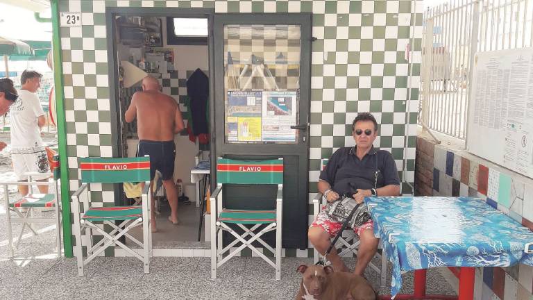 Cane in spiaggia: mille euro di multa al bagnino, 250 euro al padrone