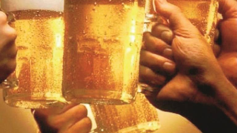 Ladri rubano l'incasso della Festa della birra di Mezzano