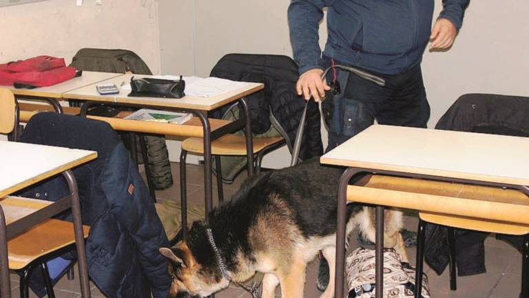 Droga in classe, controlli dei carabinieri in quattro istituti superiori