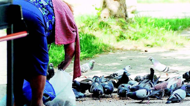 Banditi lavavetri e parcheggiatori abusivi, punito chi sputa o getta mozziconi a terra