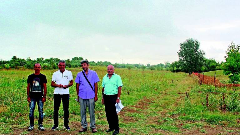 Cresce il patrimonio verde di Cesena