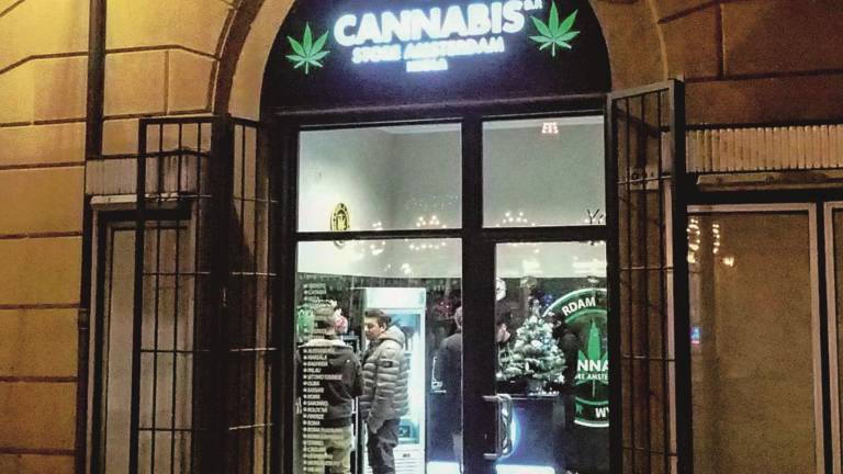 Cannabis Store: il nuovo brand fa anche il panettone
