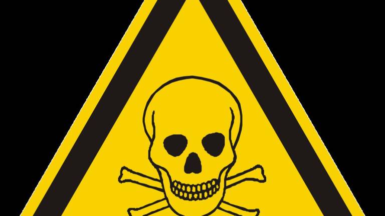 Faenza, sparge veleno per topi in area verde: 64enne denunciato
