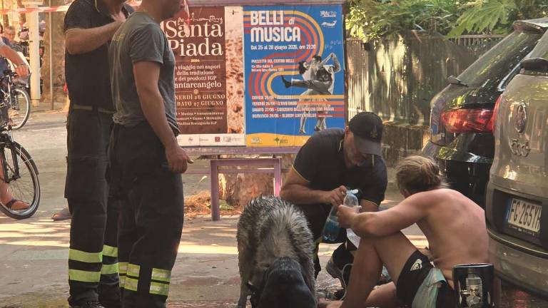Igea Marina. Incendio in un appartamento: salvati i cani, muore il pappagallo FOTOGALLERY