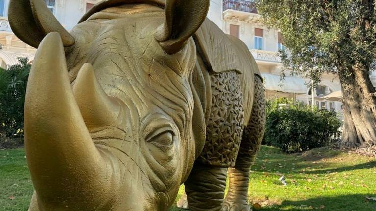Rimini, la rinocerontessa è tornata a casa al Grand Hotel