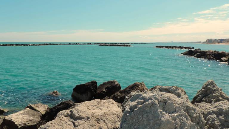 Bellaria Igea Marina ridisegna il futuro marittimo: dal “nuovo” Mercato Ittico alla sfida Bolkestein