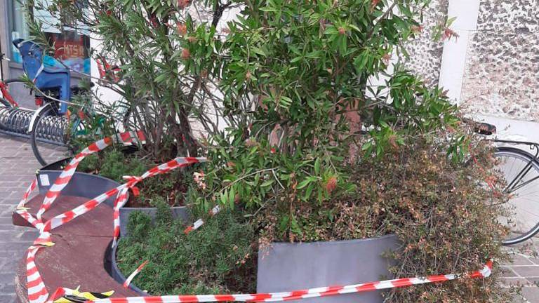 Ravenna, piazza dei Caduti: le panchine in corso di sostituzione