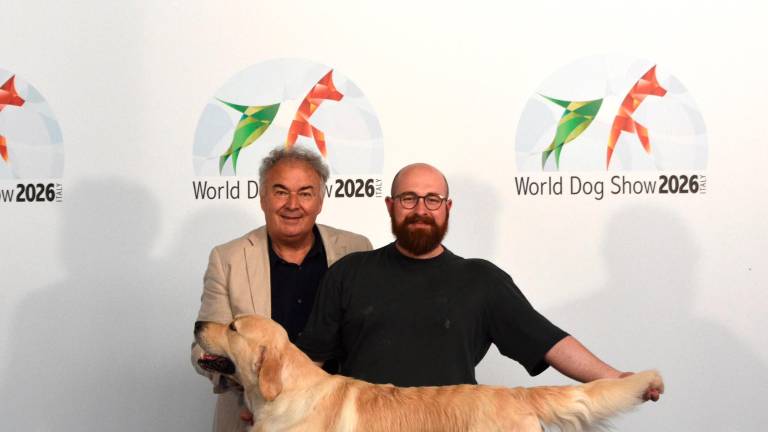 I golden retriever più belli del mondo. Da Cannuzzo all’expo