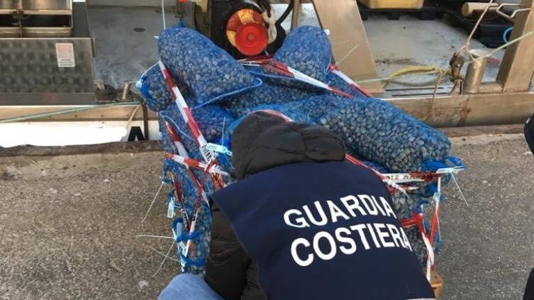 Rimini, pesca illecita: sequestrati 470 chili di pesce e una draga per raccolta vongole