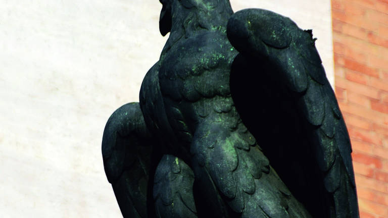 Forlì, falchi e corvi in piazza Saffi per contrastare i piccioni
