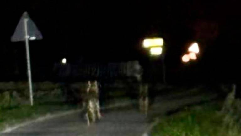 Foto dalla pagina Facebook “Quelli del Cervese sud”