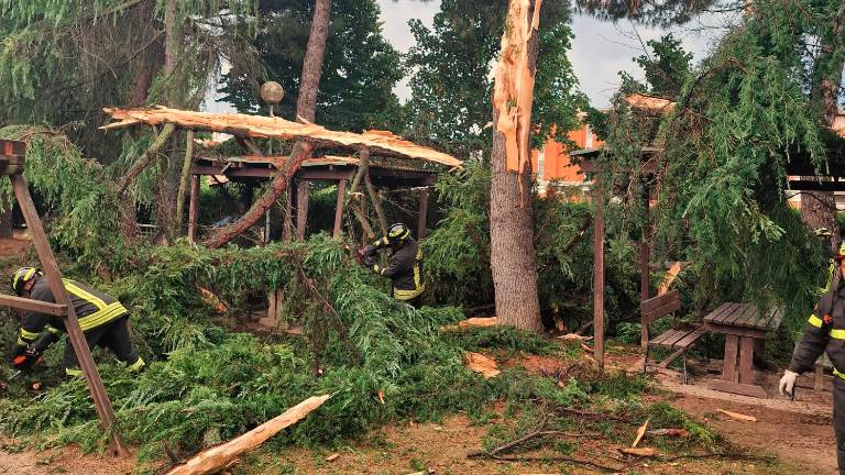 Cesena. Fulmine si abbatte su un albero, paura al circolo di Case Finali