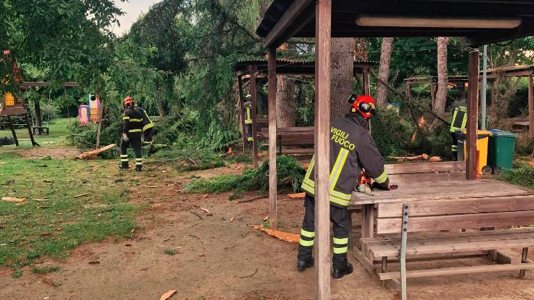 Cesena. Fulmine si abbatte su un albero, paura al circolo di Case Finali