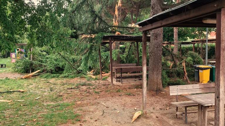 Cesena. Fulmine si abbatte su un albero, paura al circolo di Case Finali