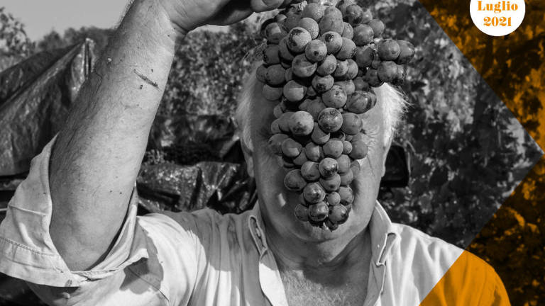 Romagna Brutale, vini naturali e cibi biodiversi al Castello di Sorrivoli